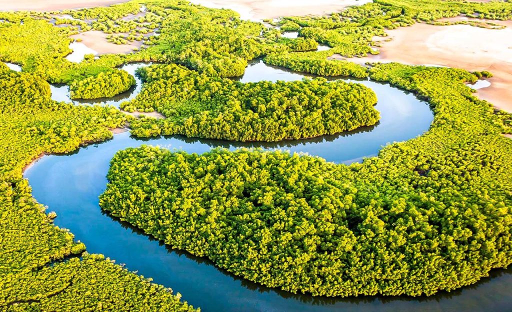 Discover the magnificent attractions of the Sine Saloum | Discover Senegal