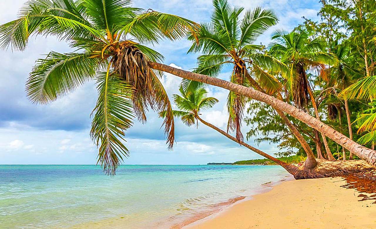 Culture Traditions Du Senegal Discover Senegal