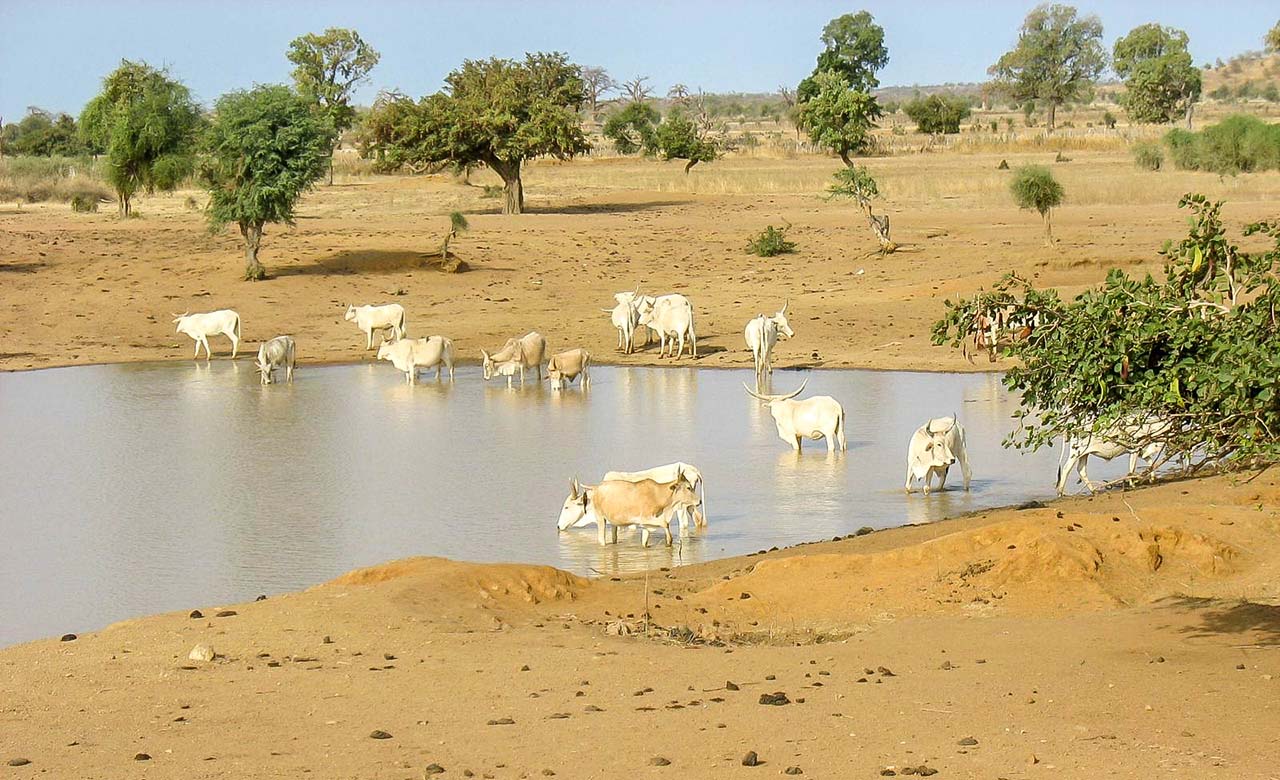 Le fouta-Toro