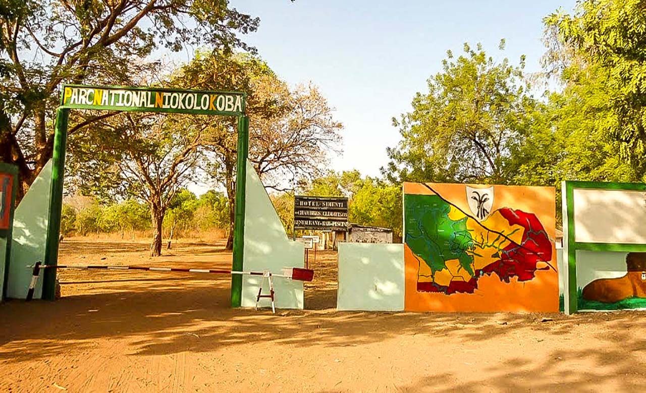 Parc national du Niokolo Koba | Discover Senegal