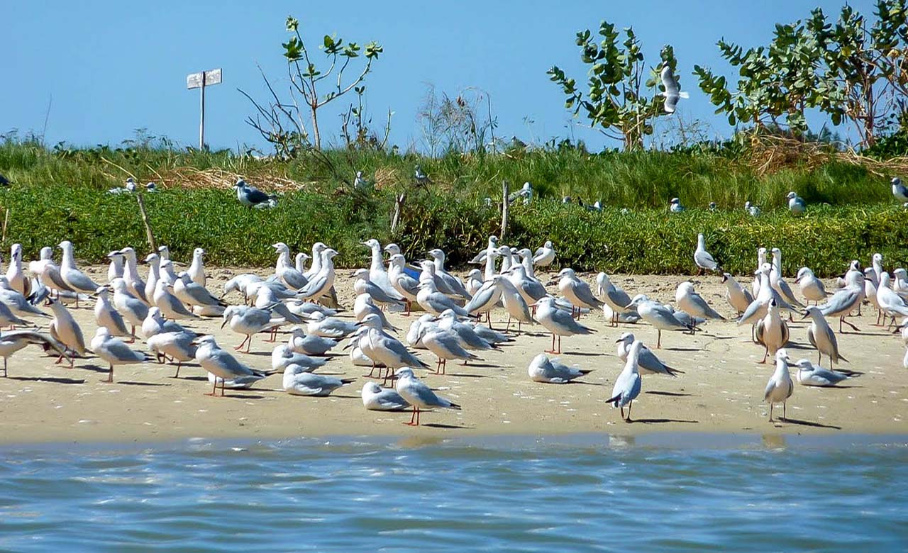 Saint-Louis Senegal Tourism and Informations